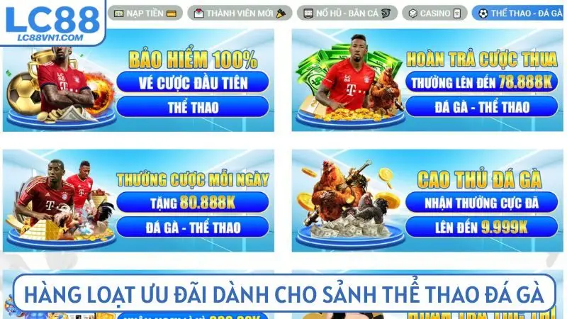 Hàng loạt ưu đãi mỗi ngày dành cho sảnh thể thao và đá gà