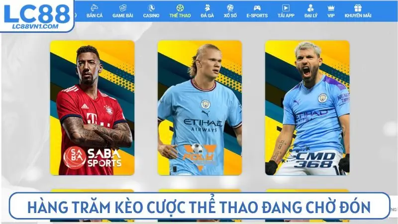 Hàng trăm kèo cược thể thao đang chờ đón người chơi